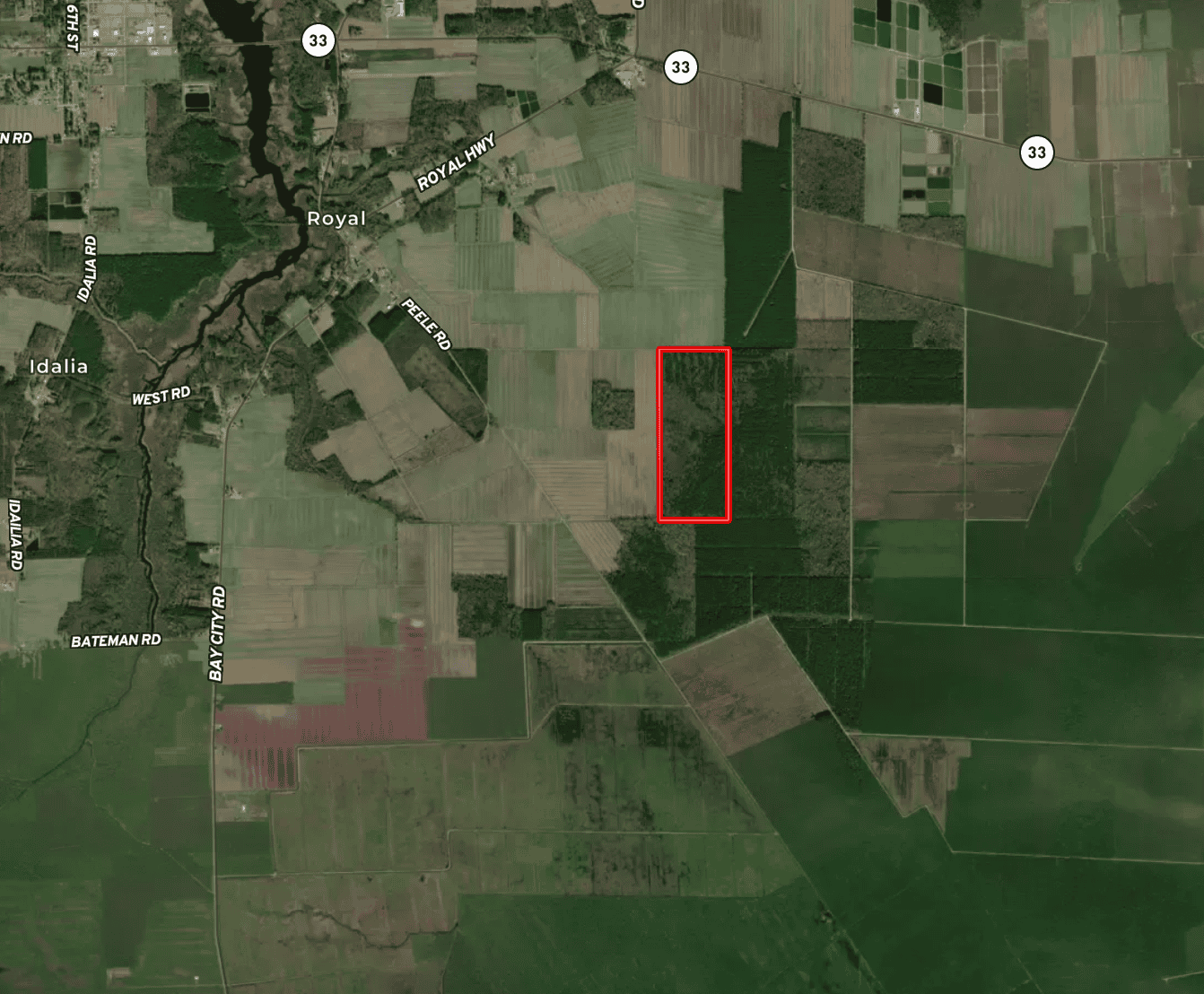 146-Acre Prime Hunting & Timber Land for Sale in Beaufort County, NC